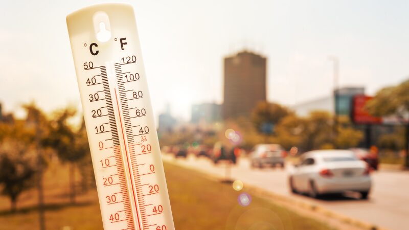 What the heatwave reveals about Europe and what we can do about it